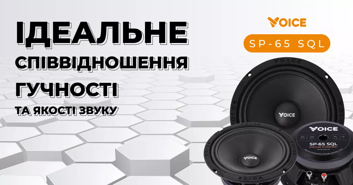войз 65 скул