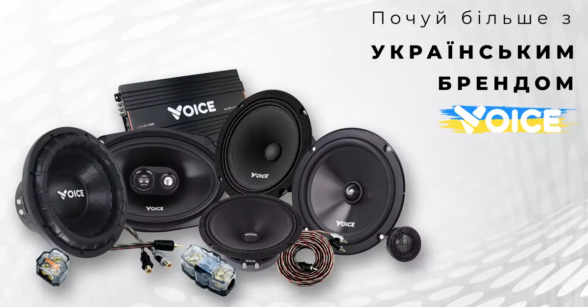 Загальний войз