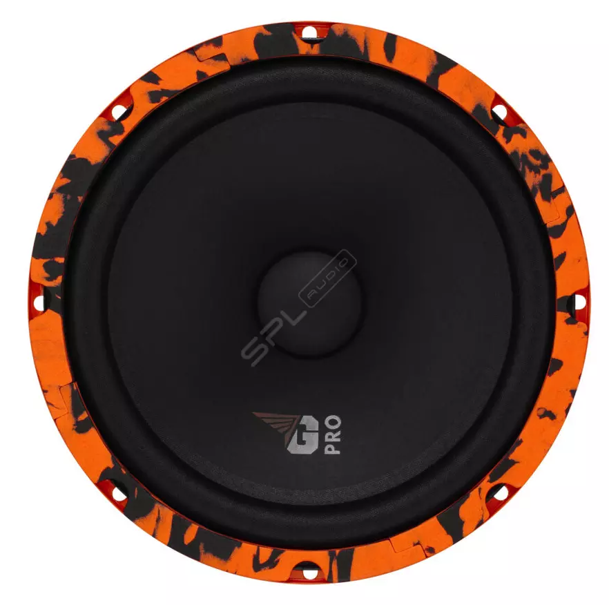 Мідбас DL Audio Gryphon Pro 200 Midbass №1